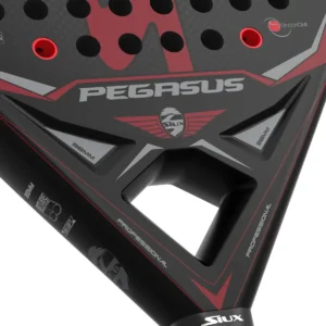 SIUX PEGASUS 3K 2022 - Imagen 4