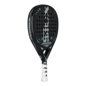 SIUX PEGASUS 1K LIMITED EDITION - Imagen 3